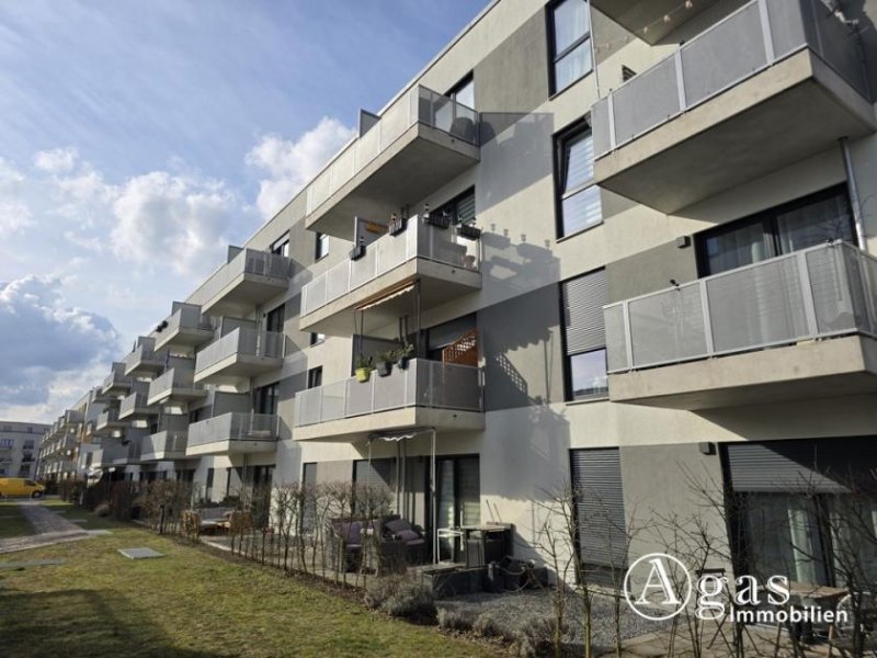 Schönefeld (Landkreis Dahme-Spreewald) 2 Zi.-Erdgeschoss-Wohnung mit Terrasse, TG-Stellplatz in Berlin Schönefeld Wohnung mieten