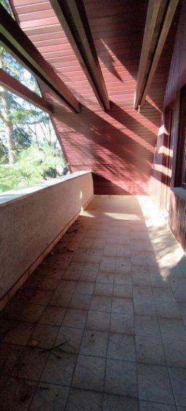 Berlin Mietwohnung mit eigenem Eingang Wohnung mieten