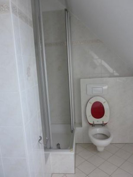 Potsdam 4 - Zimmer in ruhiger Lage am Neuen Palais (provisionsfrei) Wohnung mieten