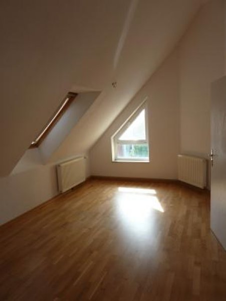 Potsdam 4 - Zimmer in ruhiger Lage am Neuen Palais (provisionsfrei) Wohnung mieten