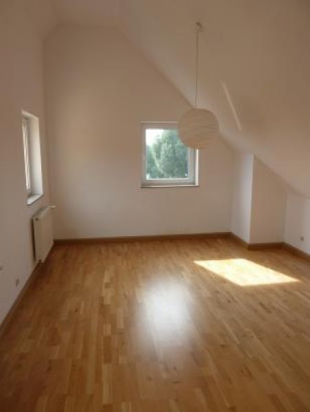 Potsdam 4 - Zimmer in ruhiger Lage am Neuen Palais (provisionsfrei) Wohnung mieten