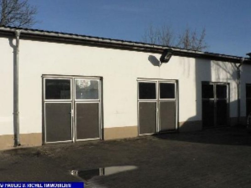 Potsdam Lichtdurchflutete Einzelhandelsfläche in Potsdam-Babelsberg Gewerbe mieten