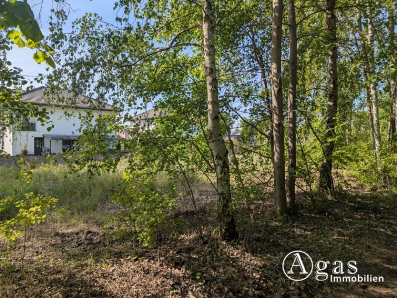 Brandenburg an der Havel großzügiges Grundstück nahe der Altstadt in Brandenburg an der Havel Grundstück mieten