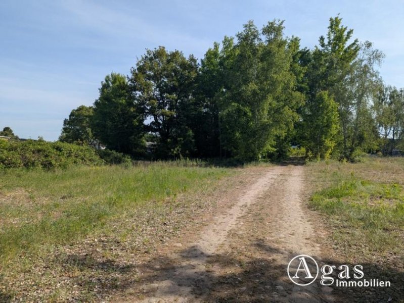 Brandenburg an der Havel großzügiges Grundstück nahe der Altstadt in Brandenburg an der Havel Grundstück mieten