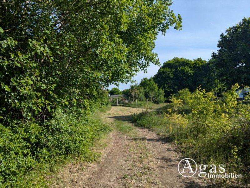 Brandenburg an der Havel großzügiges Grundstück nahe der Altstadt in Brandenburg an der Havel Grundstück mieten