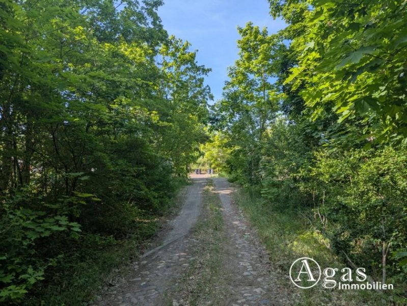 Brandenburg an der Havel großzügiges Grundstück nahe der Altstadt in Brandenburg an der Havel Grundstück mieten