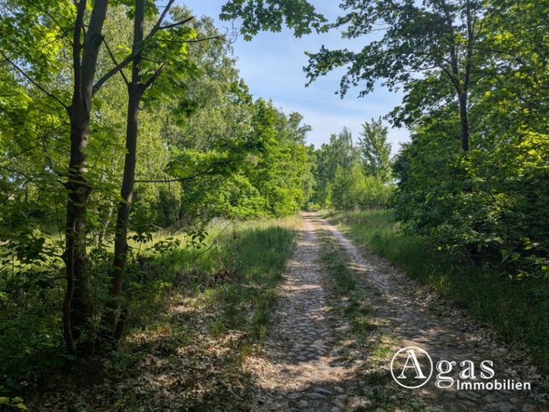 Brandenburg an der Havel großzügiges Grundstück nahe der Altstadt in Brandenburg an der Havel Grundstück mieten