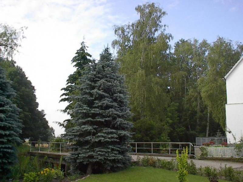 Borkheide Wohnen in ehemaliger Wassermühle - preiswert bei Hausmeistertätigkeiten Wohnung mieten