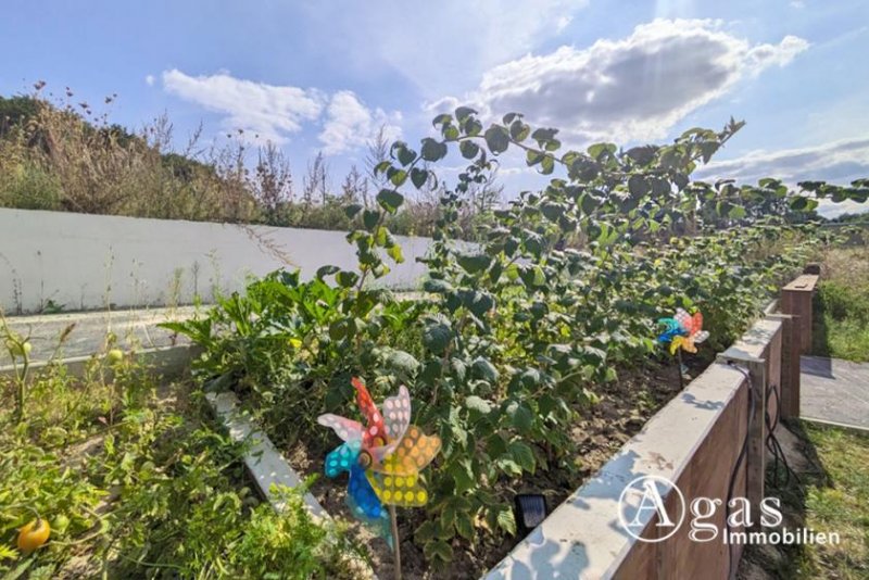 Hennickendorf BETREUTES WOHNEN mit / ohne Pflegestufe: 1-Zimmer-Wohnung mit Bad und Küchenzeile - barrierefrei! Wohnung mieten