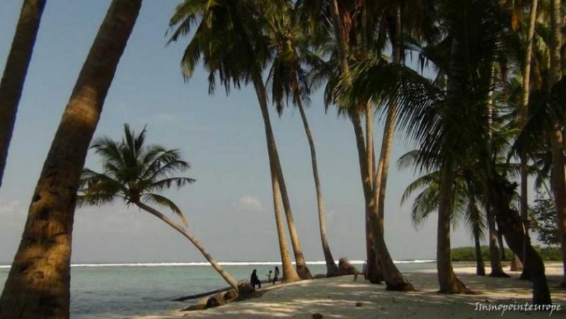 Malente Maldeiven - Mit dem Schiff durch die Atolle Wohnung mieten