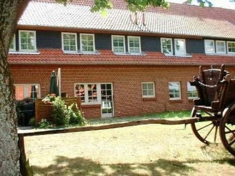 Eschede Großzügige 3 Zimmer Wohnung mit Terrasse zu vermieten Wohnung mieten