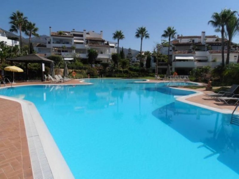 Marbella Dachgeschoss Appartement zum miete in Marbella (Malaga) Golden Mile Wohnung mieten