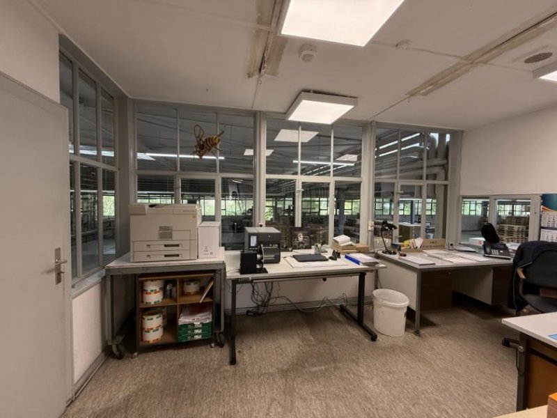 Hameln Auch teilbar - Lager- und Produktionsflächen sowie Büros Gewerbe mieten