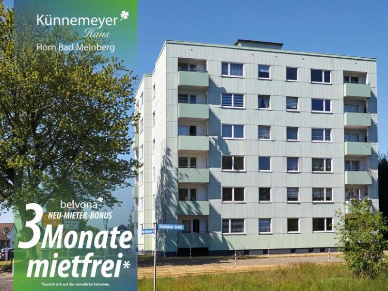 Horn-Bad Meinberg Künnemeyerhaus: 2 Zi- Ahorn-Luxuswohnung von belvona frisch saniert.
3 Monate sind mietfrei! Wohnung mieten