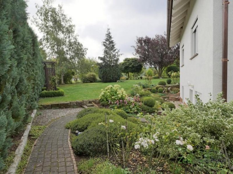 Knüllwald (EF1081_M) Hersfeld-Rotenburg: Knüllwald, preiswertes möblierter Apartment mit Terrasse in ruhiger Wohnlage Wohnung mieten