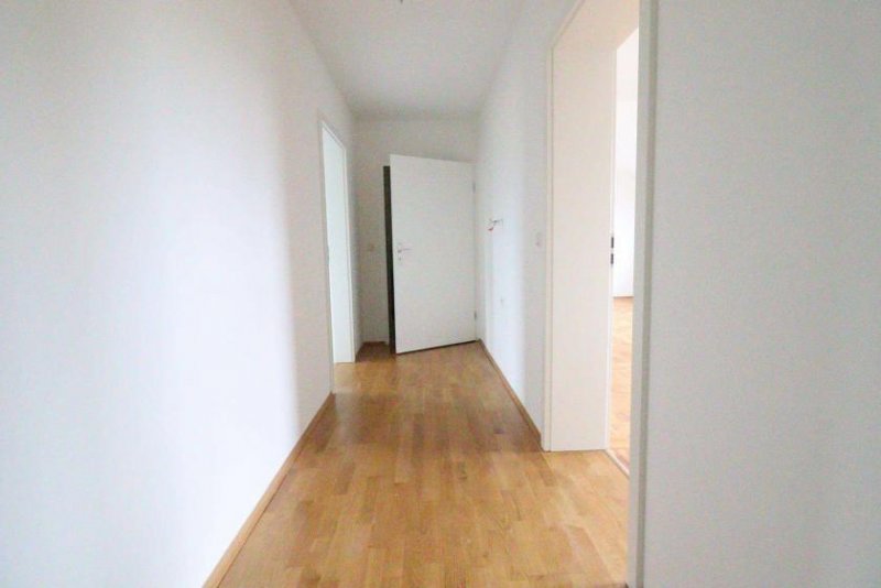 Rockenberg WRS Immobilien - Frisch renovierte 3 Zimmer Dachgeschosswohnung in Feldrandlage von Rockenberg Wohnung mieten
