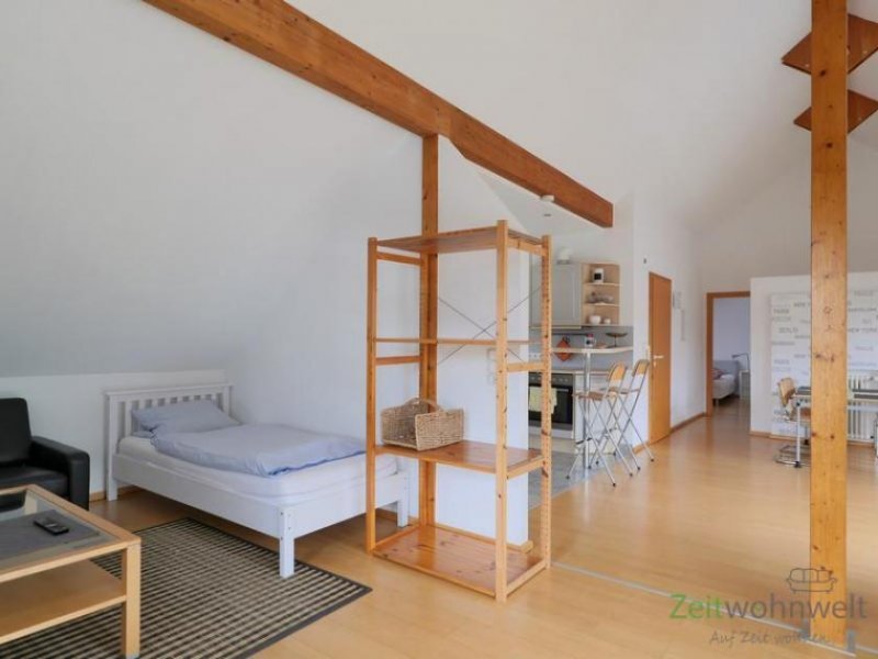 Großenlüder (EF1327_M) Fulda: Großenlüder, großzügiges möbliertes XL-Apartment mit Balkon, Wintergarten, Carport und Service Wohnung