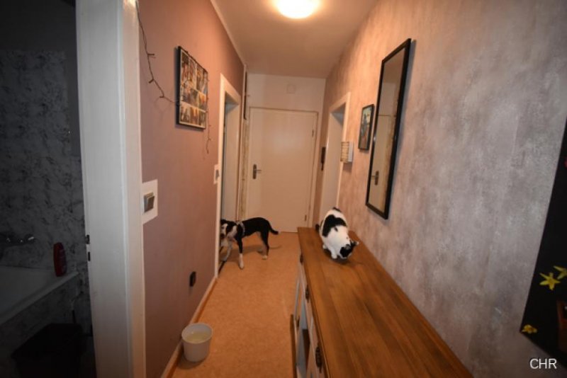 Walkenried Gemütliche 2 Zimmerwohnung mit Balkon Wohnung mieten