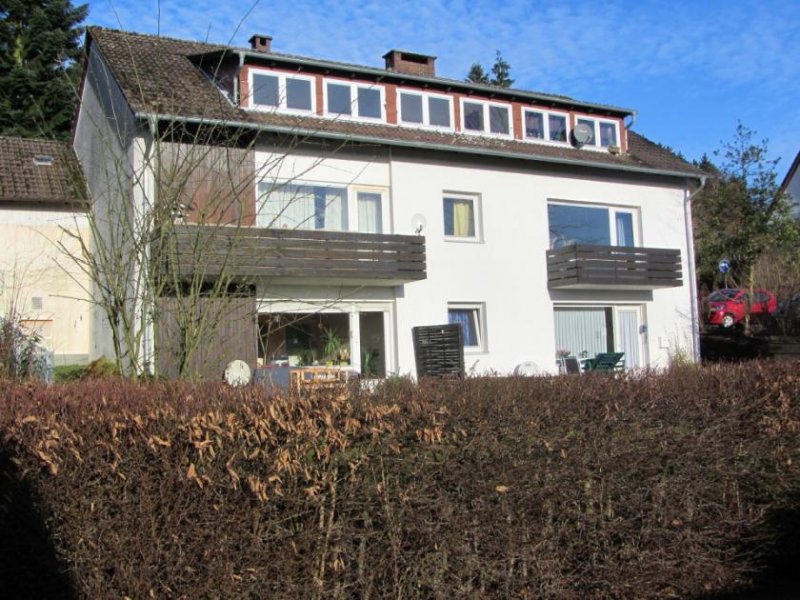 Holzminden 2-Zimmer-Mietwohnung in Neuhaus mit Terrasse/Südseite und Zugang zum Garten Wohnung mieten