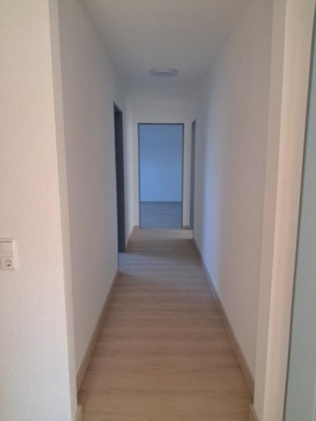 Holzminden 3-Zimmer-Mietwohnung in Holzminden/Neuhaus zu vermieten - Komplett renoviert/teilsaniert in 2025 Wohnung mieten