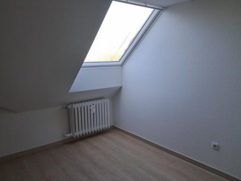 Holzminden 3-Zimmer-Mietwohnung in Holzminden/Neuhaus zu vermieten - Komplett renoviert/teilsaniert in 2025 Wohnung mieten