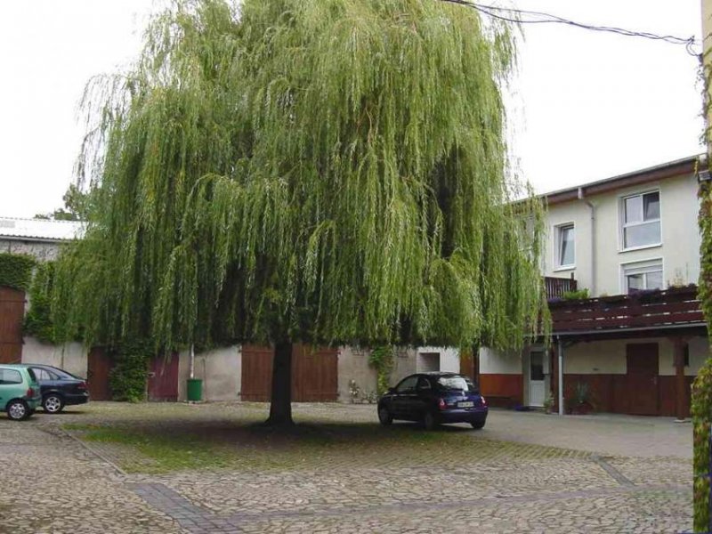 Schönebeck (Elbe) GROSSZÜGIGE 2-RAUM WOHNUNG MIT WOHNKÜCHE UND SUPERDUSCHE Wohnung mieten