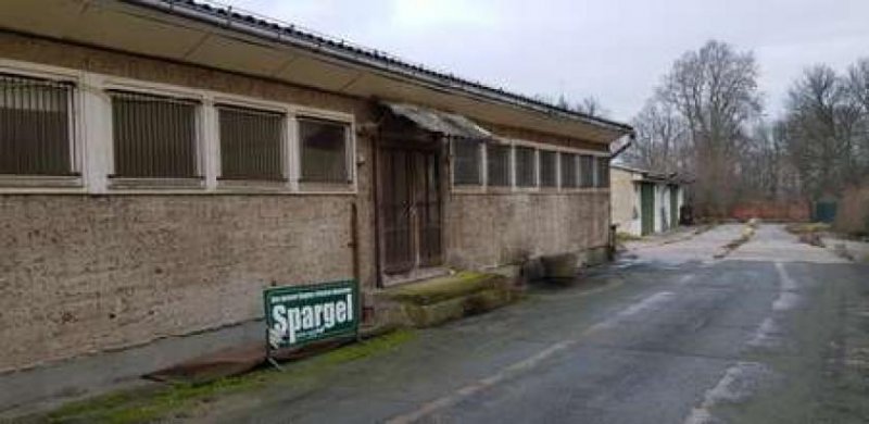 Tucheim Gewerbefläche mit Nebengelass in Ortslage Gewerbe mieten