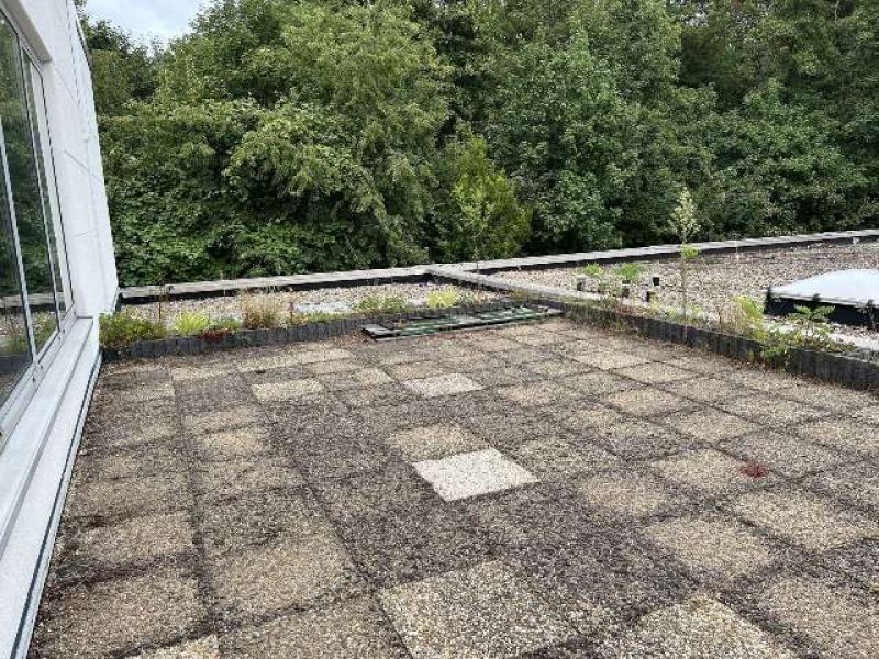 Essen Provisionsfrei: 254 qm Teilklimatisiertes Großraumbüro mit Terrasse und vielen Stellplätzen! Gewerbe mieten