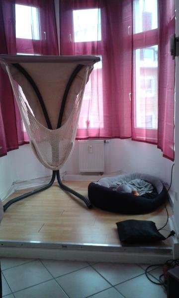 Nordrhein-Westfalen - Gelsenkirchen Helle Altbauwohnung sucht Nachmieter zum 1.4. in Gelsenkirchen Wohnung mieten