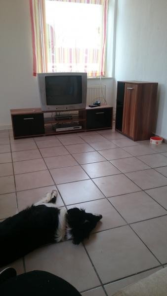 Nordrhein-Westfalen - Gelsenkirchen Helle Altbauwohnung sucht Nachmieter zum 1.4. in Gelsenkirchen Wohnung mieten