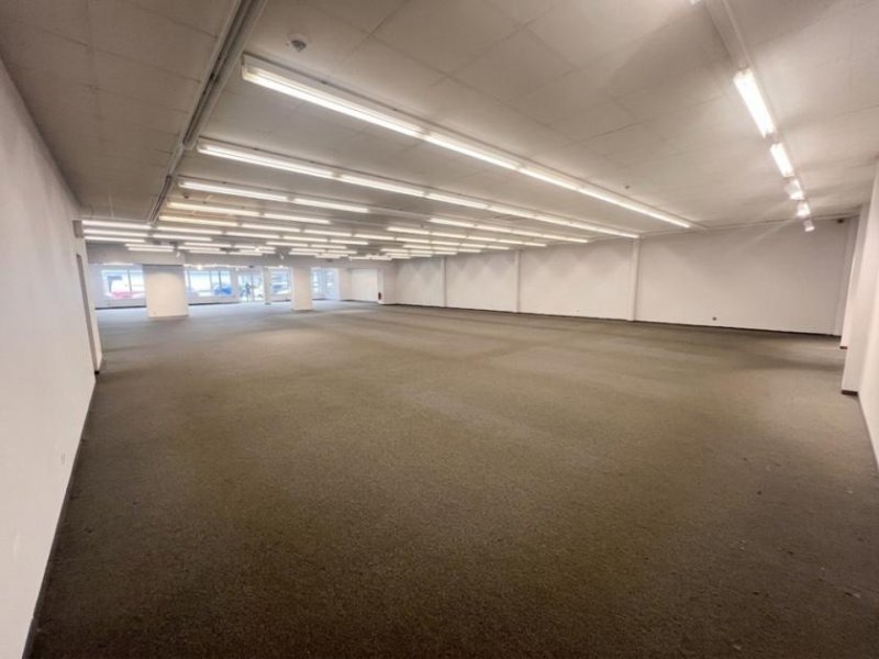 Oberhausen renovierte Ladenfläche im bekannten Fachmarktzentrum * frequenzbringende Nachbarn * provisionsfrei Gewerbe mieten