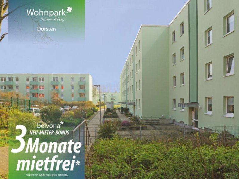 Dorsten Wohnpark Himmelsberg: 3 Zi- Ahorn-Luxuswohnung von belvona frisch saniert.
3 Monate sind mietfrei!! Wohnung mieten