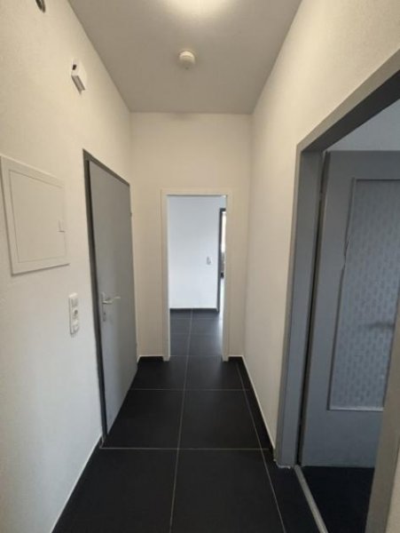 Duisburg Charmante, kernsanierte Erdgeschosswohnung–Modernes Wohnen in ruhiger Lage/Bitte 01781753287 anrufen Wohnung mieten