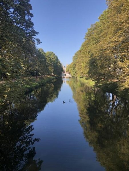 Köln Klima/Kamin etc. Einzigartiges modernes Penthouse am Clarenbach (Anschluss Elektroauto möglich) - SUCHEN HAUS Wohnung