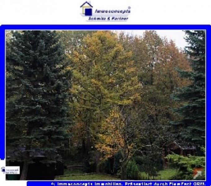 Stolberg Charmantes Wohnen mit Garten Wohnung mieten