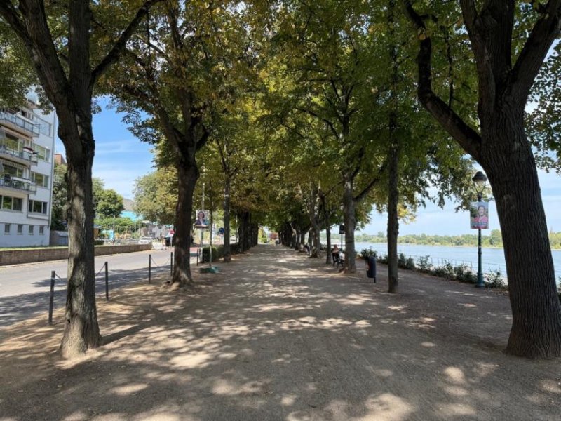 Bonn BONN Zentrum, tolle 3,5 Zi. Maisonnette-Whg, 93 m² Wfl. im 4 Part. Haus ca. 100 m vom Rhein, Balkon Wohnung mieten