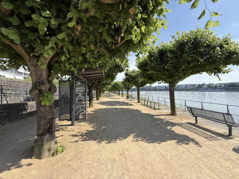 Bonn BONN BEUEL, direkte Rheinlage, top 4 Zi. Wohnung ca. 156 m² Wfl. Sonnenbalkon, Aufzug, Kfz. Stellpl. Wohnung mieten