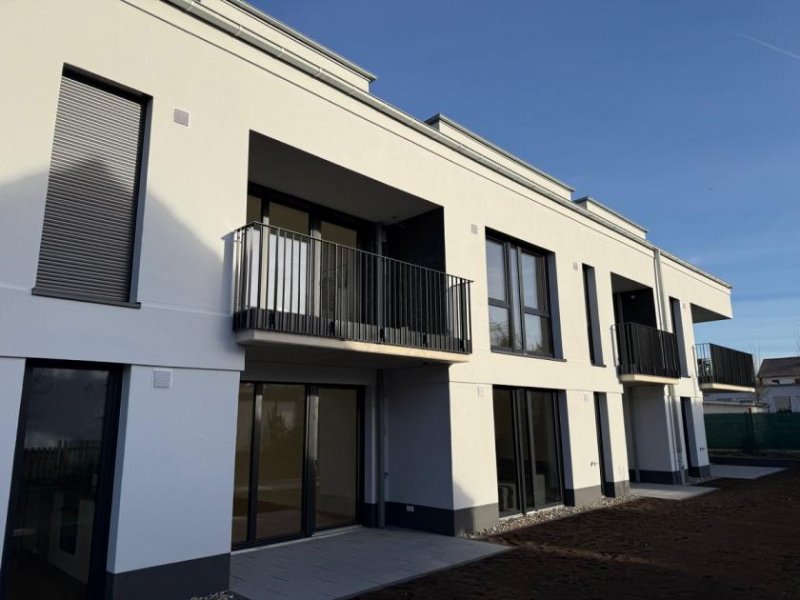 St. Augustin SANKT AUGUSTIN HANGELAR, 2 Zi. Neubauwohnung ca. 60 m² Wfl. mit Einbauküche, gr. Balkon u. TG-Stellp Wohnung mieten