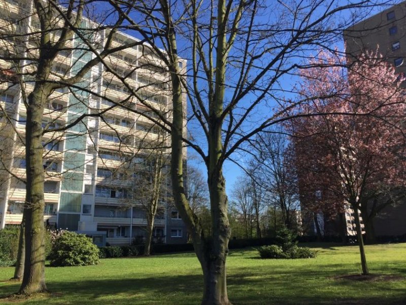 St. Augustin SANKT AUGUSTIN, schöne helle 3-Zimmerwohnung im Erdgeschoss, ca. 82 m² Wfl., Einbauküche, Stellplatz Wohnung mieten