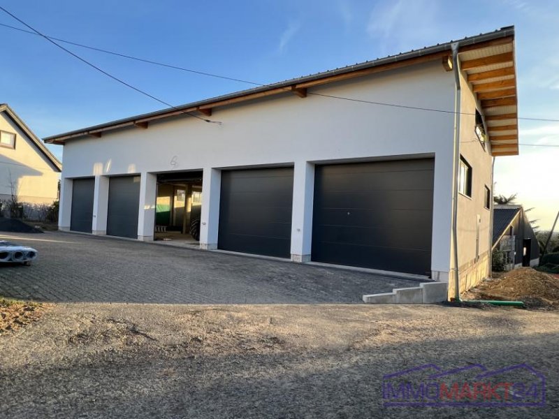 Neunkirchen-Seelscheid Neue Lagerhalle komplett oder teilweise zu vermieten Gewerbe mieten