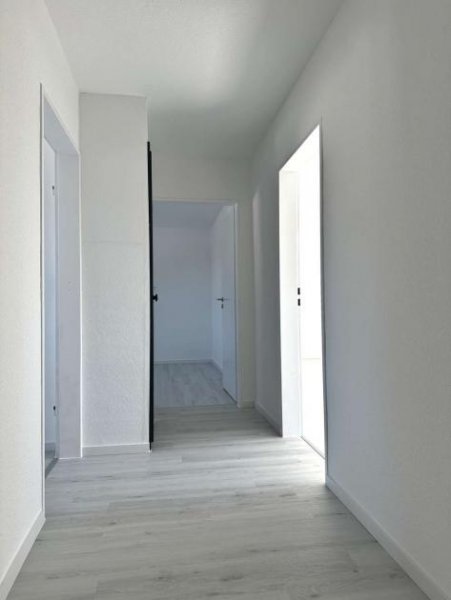 Schleiden Frisch renovierte Dachgeschosswohnung Wohnung mieten