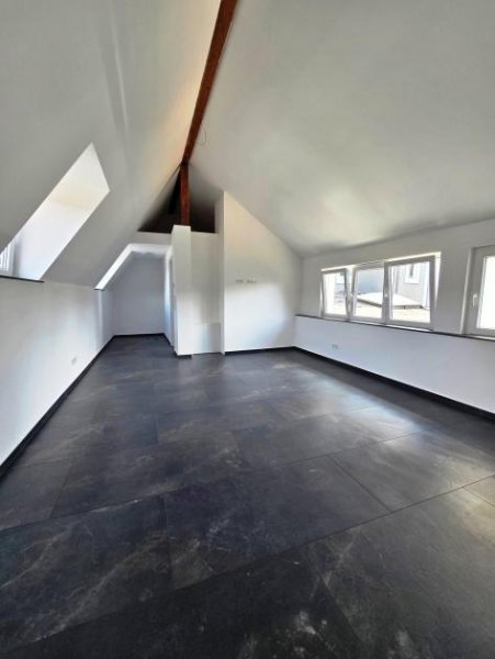 Trier City Life PUR! Modernes Premium Apartment, kernsaniert zum Erstbezug! Wohnung mieten