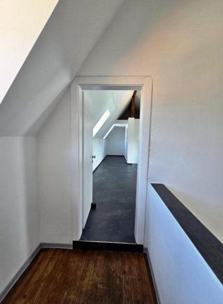 Trier City Life PUR! Modernes Premium Apartment, kernsaniert zum Erstbezug! Wohnung mieten