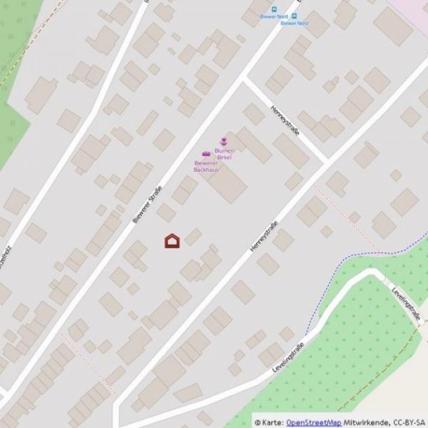 Trier Biewer * charmante DG Whg. * 1 ZKB ca. 32 renov. m² * sofort! Wohnung mieten