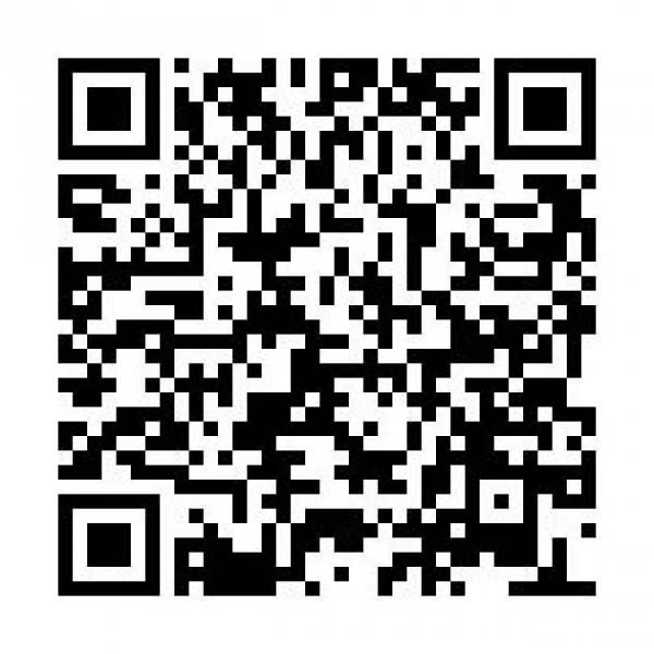 Trier Biewer * charmante DG Whg. * 1 ZKB ca. 32 renov. m² * sofort! Wohnung mieten