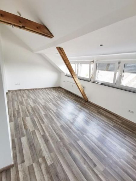 Trier Biewer * charmante DG Whg. * 1 ZKB ca. 32 renov. m² * sofort! Wohnung mieten
