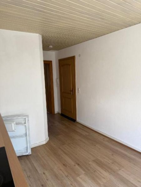 Trier PFALZEL: Klein aber fein - Appartement ca. 43 m² mit Loggia & Gartennutzung in ruhiger Wohnlage! Wohnung mieten