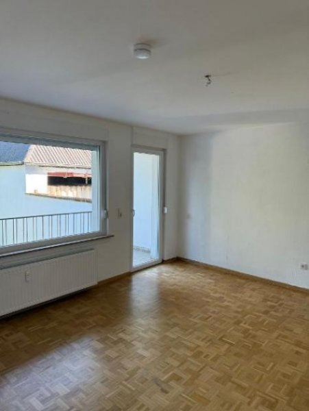 Trier PFALZEL: Klein aber fein - Appartement ca. 43 m² mit Loggia & Gartennutzung in ruhiger Wohnlage! Wohnung mieten