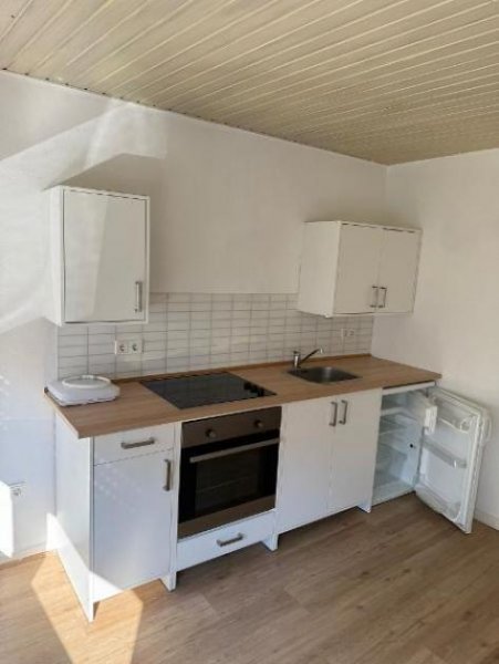 Trier PFALZEL: Klein aber fein - Appartement ca. 43 m² mit Loggia & Gartennutzung in ruhiger Wohnlage! Wohnung mieten