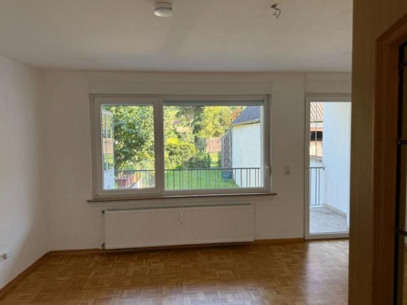 Trier PFALZEL: Klein aber fein - Appartement ca. 43 m² mit Loggia & Gartennutzung in ruhiger Wohnlage! Wohnung mieten